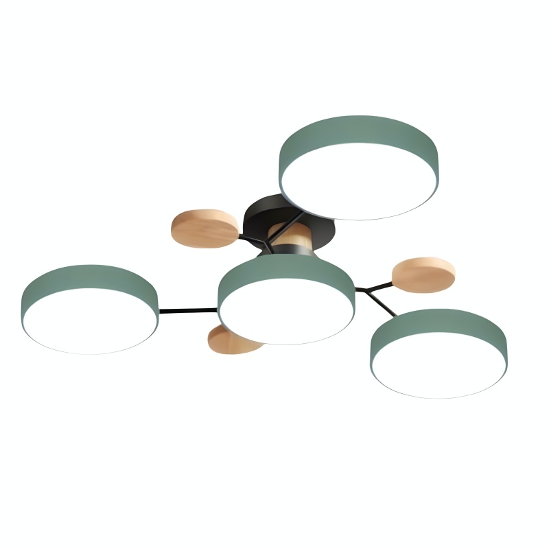 Groene plafondlamp met Scandinavische takken
