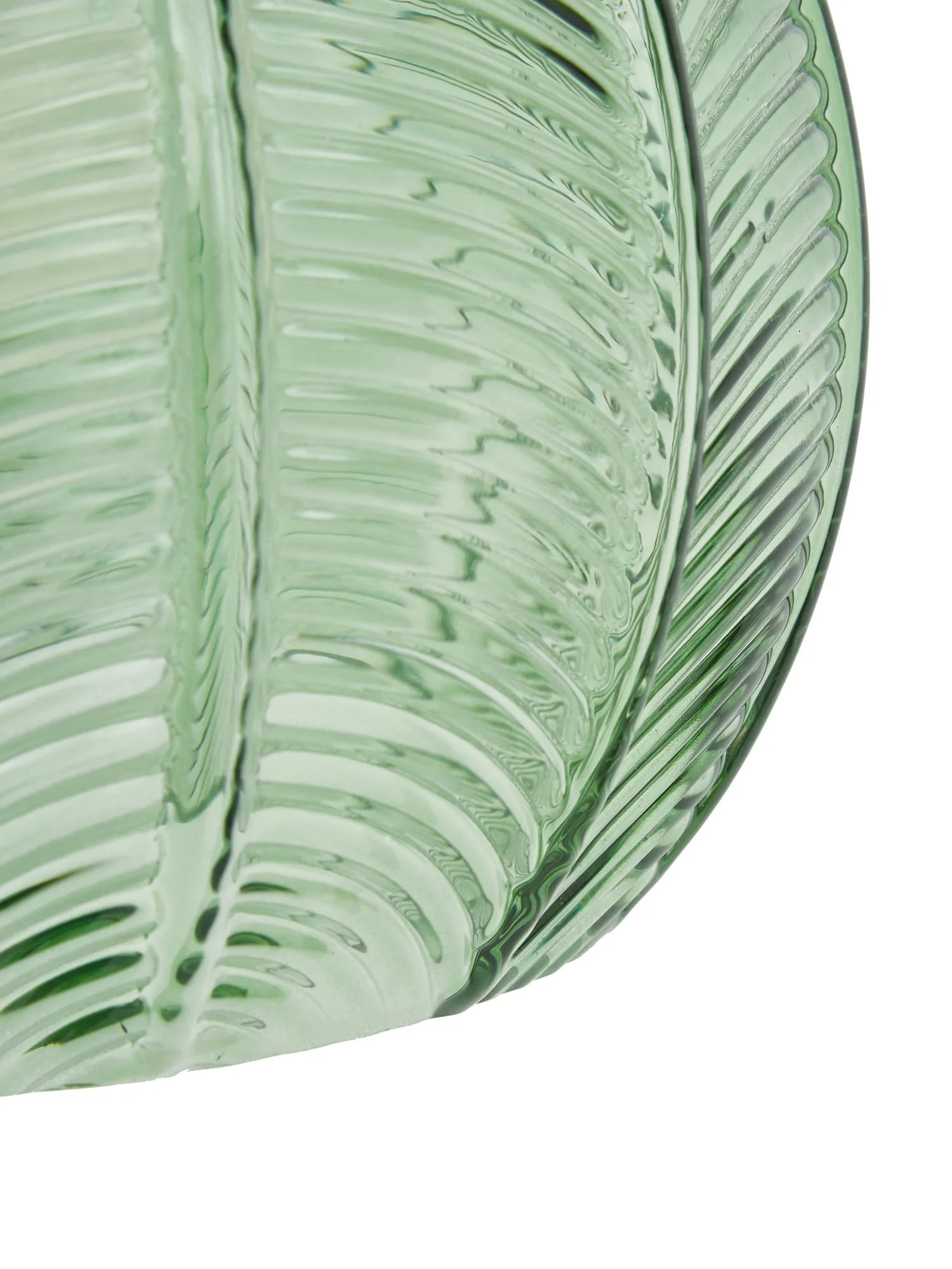 Detail-Groene-Palmbladeren.webp__PID:cda2bb24-87f5-4b9a-bfb2-acd2ac0e967c