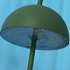 detail1.gif__PID:efbe07f8-4c37-47af-acc3-dab884fc9129