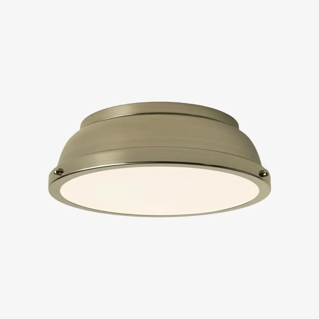 Thornev industriële metalen inbouw plafondlampc2.webp__PID:d1b58300-53d1-438c-b889-0403008468d4