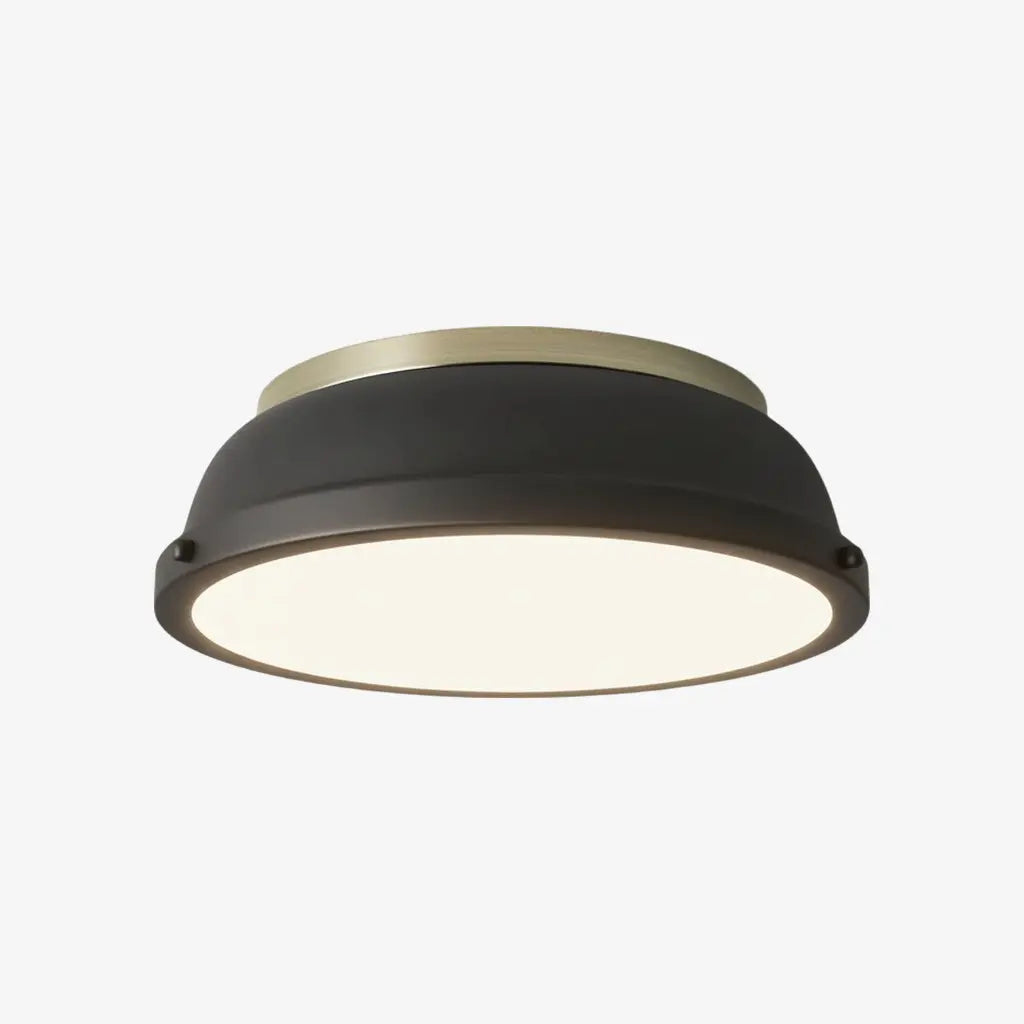 Thornev industriële metalen inbouw plafondlampc6.webp__PID:53d1e38c-f889-4403-8084-68d497f4753e