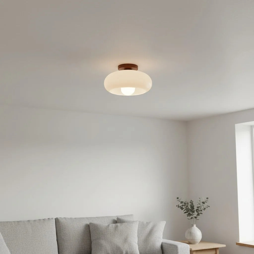 Violetta Franse Bauhaus glazen plafondlamp (9).webp__PID:5430d349-8275-4ba3-8934-e705771ed28d