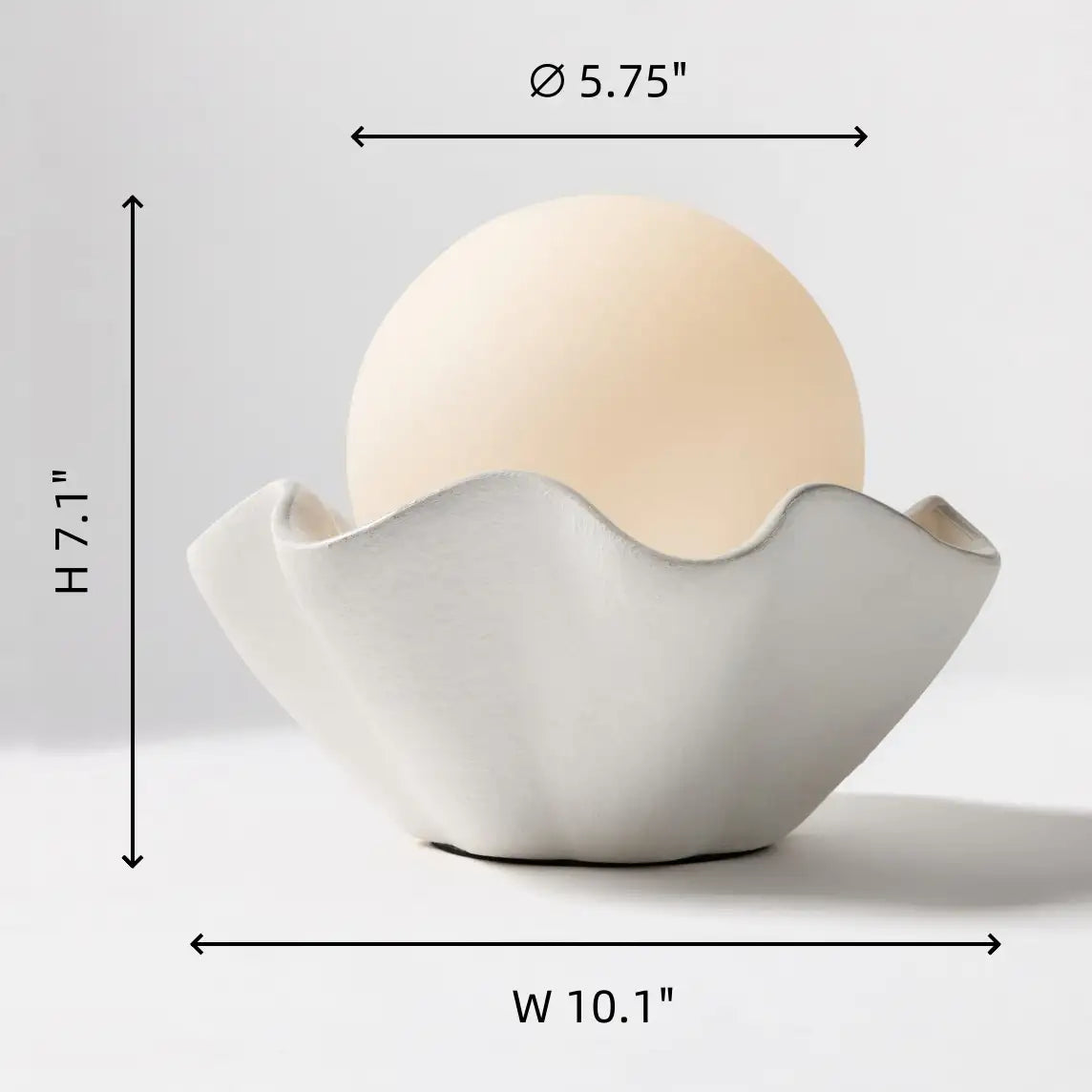 Thalassa Modern Wavy Shell Ceramic Table Lightcc.webp__PID:4a1d932c-80df-4a41-aee0-f6e786a1ddb3